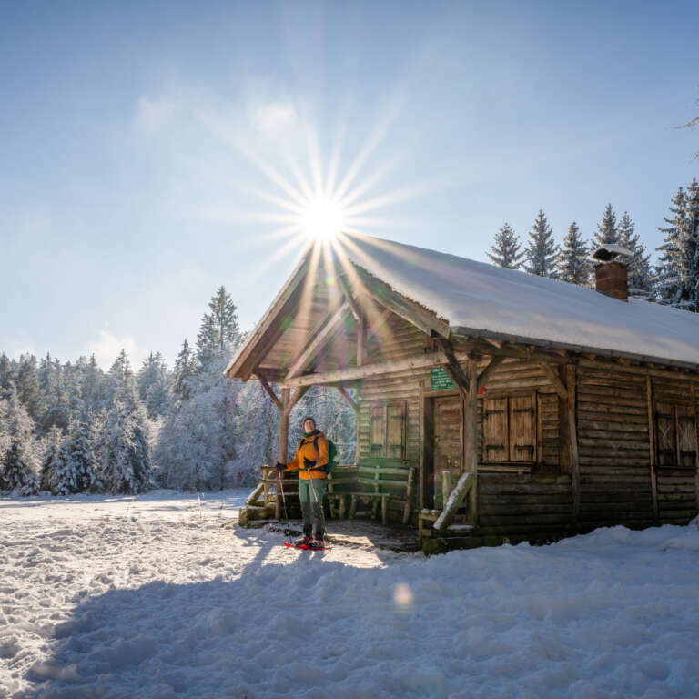 Schneeschuhwanderung auf dem Dobel III