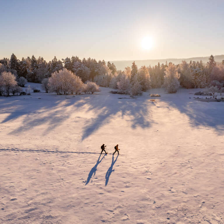 Schneeschuhwanderung auf dem Dobel