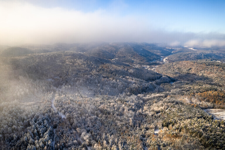 Winter im Schwarzwald