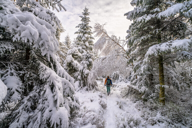 Winterwanderung im Schwarzwald