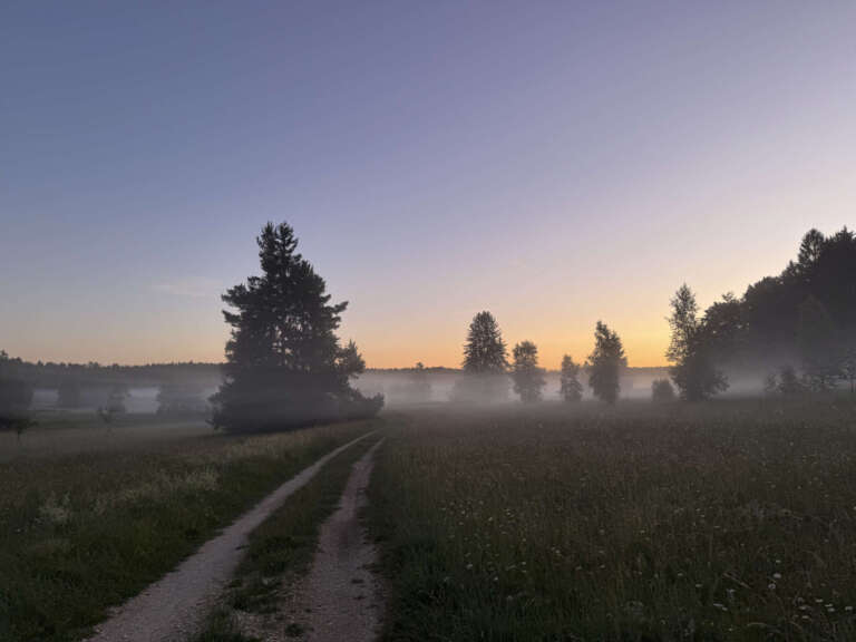 Feldweg mit Nebel zur Blauen Stunde auf der Schwäbischen Alb