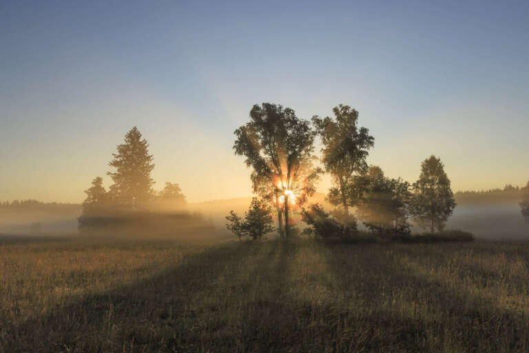 Sonne hinter den Bäumen auf der Schwäbischen Alb
