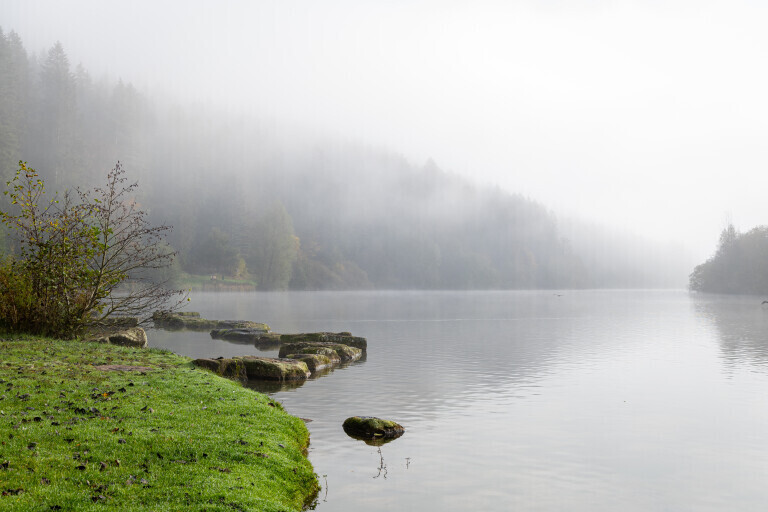 Nebel über der Nagoldtalsperre im Herbst