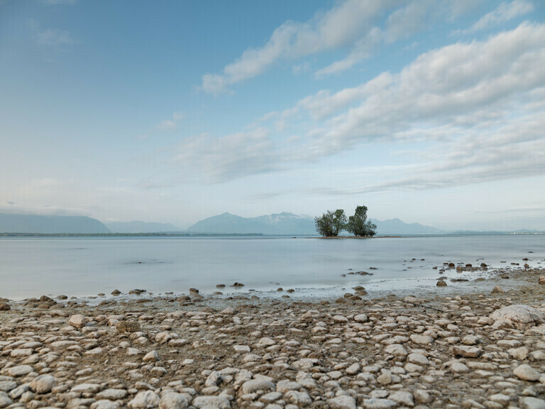 Trees in the Chiemsee – Bäume im Chiemsee
