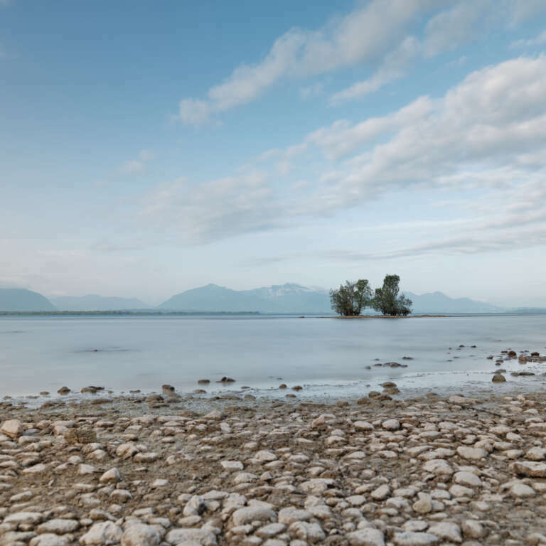 Trees in the Chiemsee – Bäume im Chiemsee