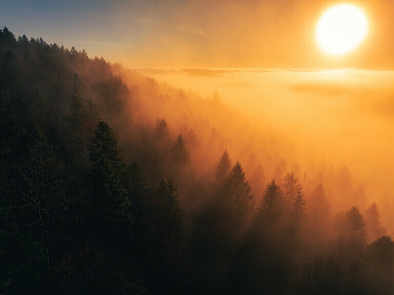 Good Morning Sunshine - Warmer Sonnenaufgang über dem Schwarzwald beim Hochkopf