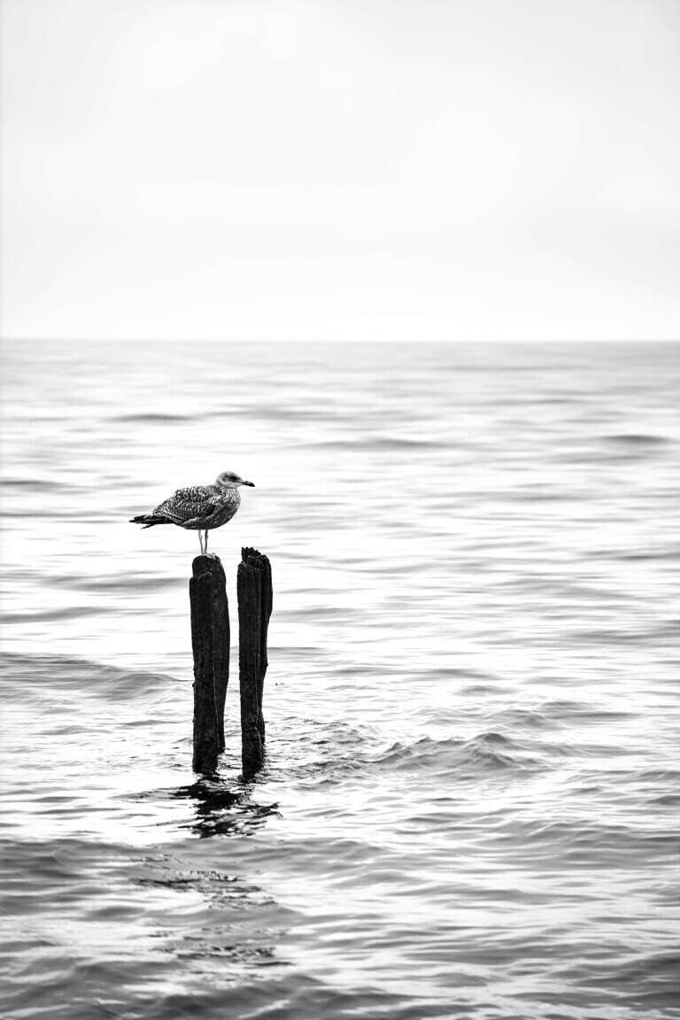 Watching the time go by