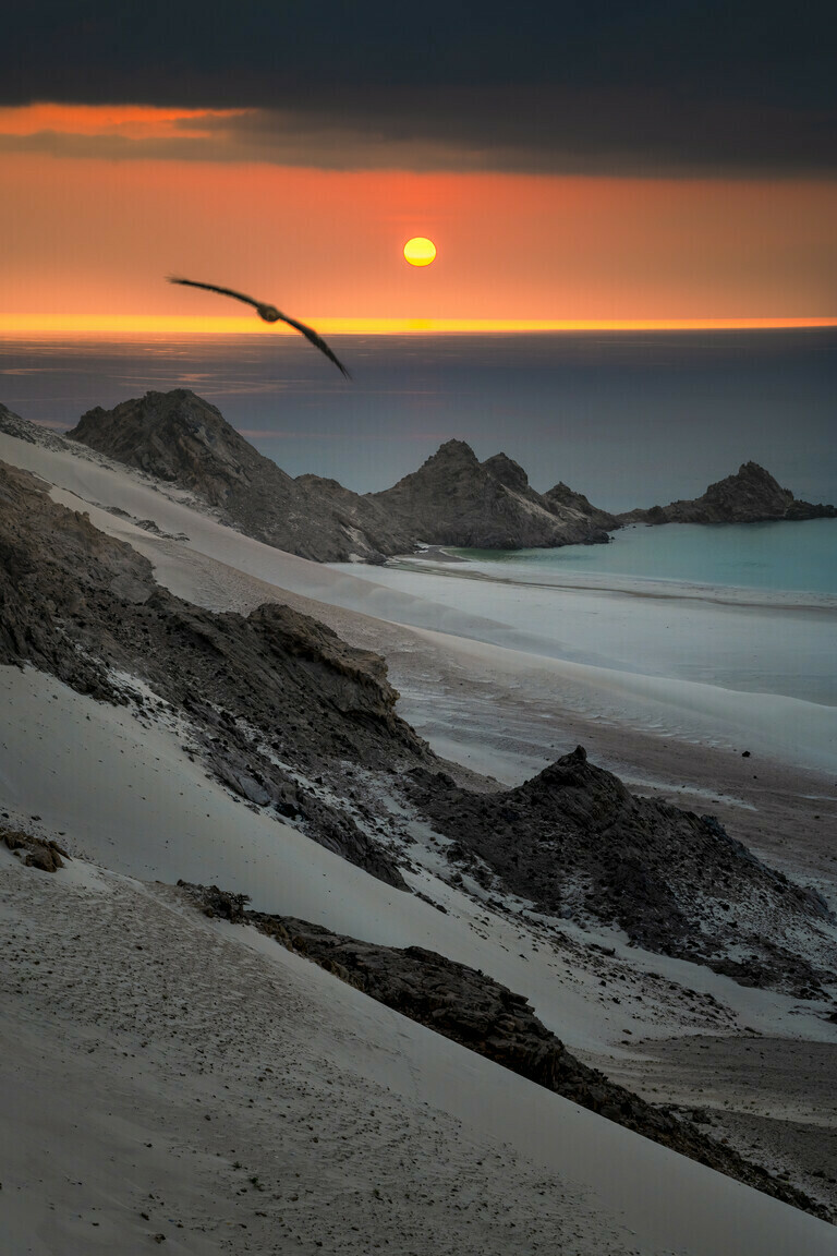 Socotra - Sunset Of Freedom