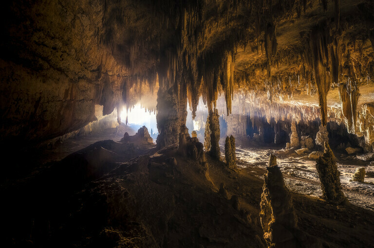 Stalignites and  Stalitites