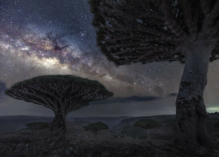 Socotra - Intergalactic Guardians