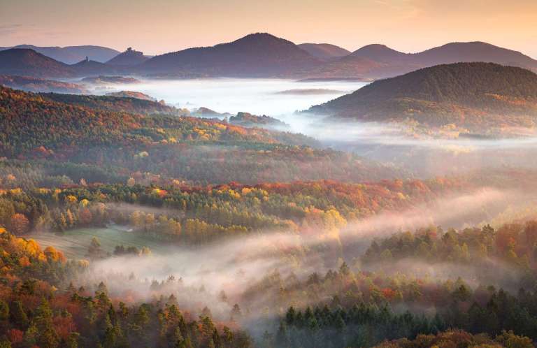 Verträumte Stille über dem Pfälzerwald