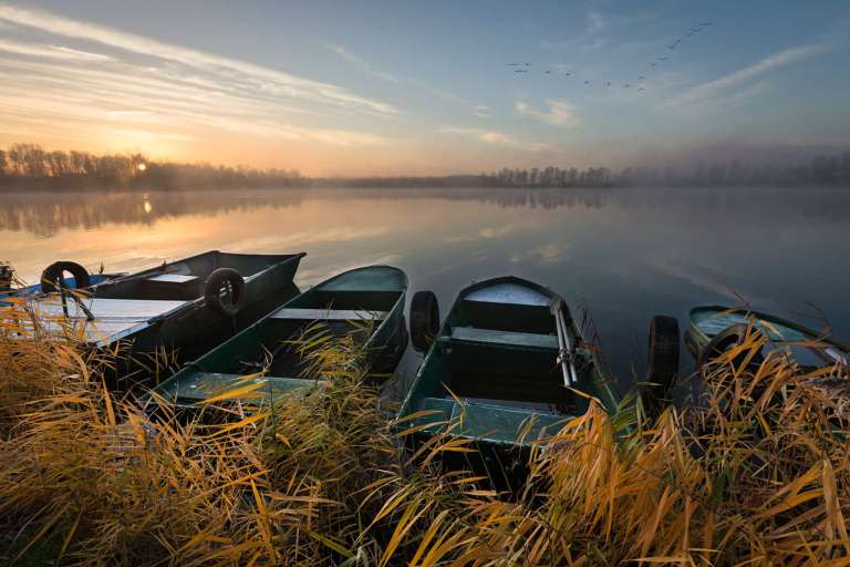 Früh morgens am Lambsheimer Weiher