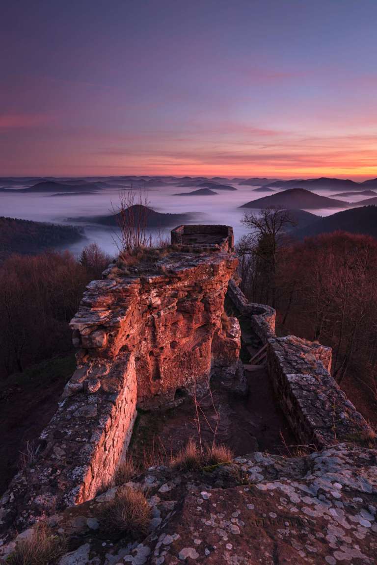 Auf dem Dach der Pfalz