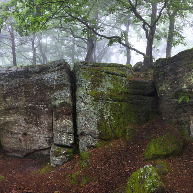 Heidenfels im Nebel