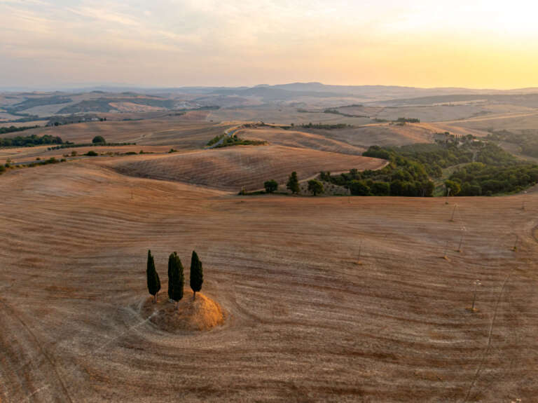 Drei Zypressen in San Quirico D’Orcia