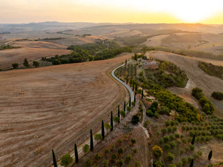 Zypressenweg in San Quirico D’Orcia