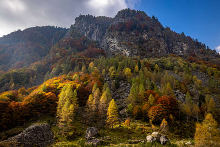 Indian Summer im Verzasca-Tal