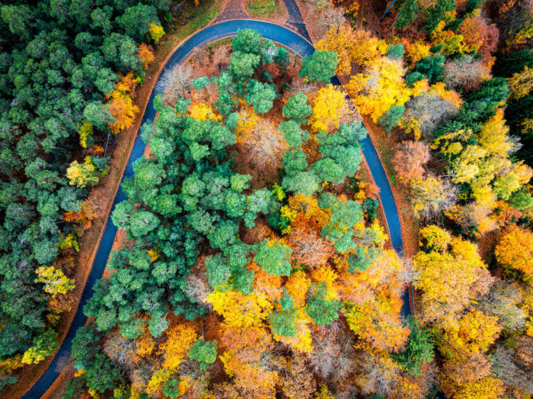 Gauß’sche Normalverteilung im Herbst