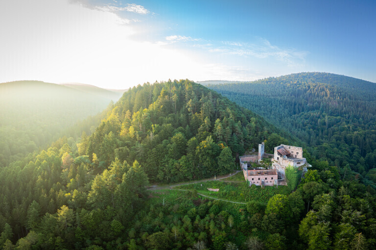 Burg Spangenberg