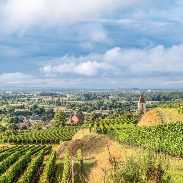 Blick auf Burkheim und die Rheinebene