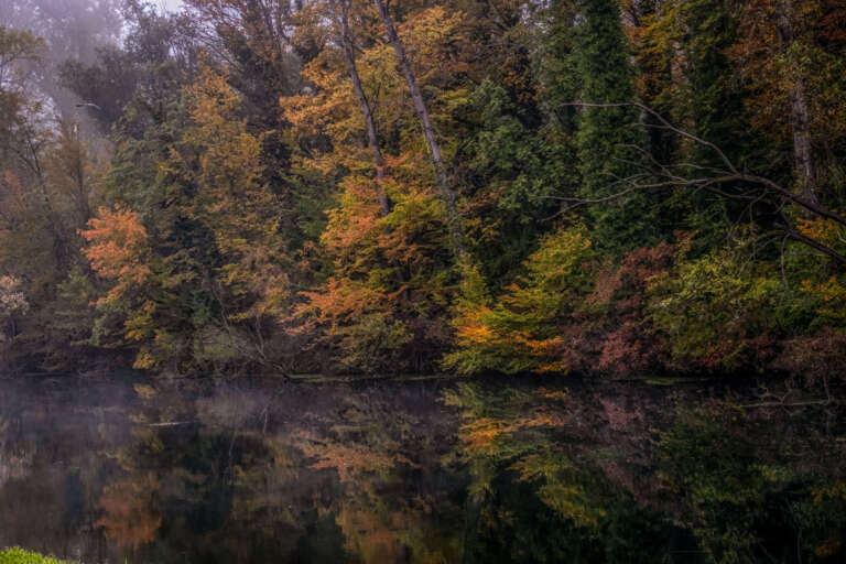 Herbstidylle am Altrhein
