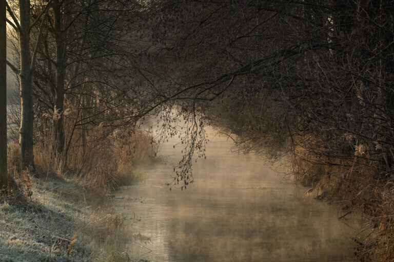 Bachlauf am frühen Morgen