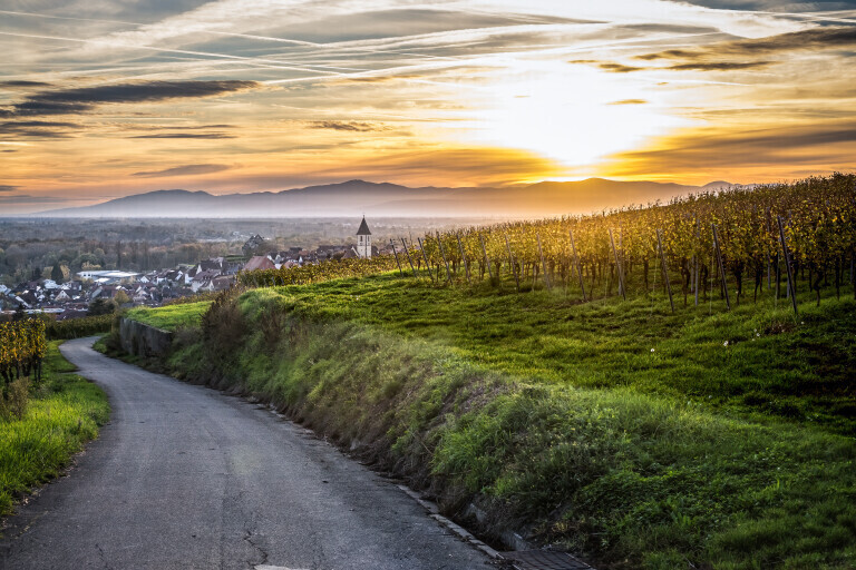 Weg nach Burkheim