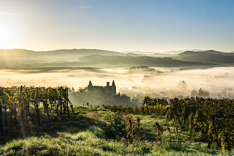 Burkheimer Schloß im Sonnenaufgang