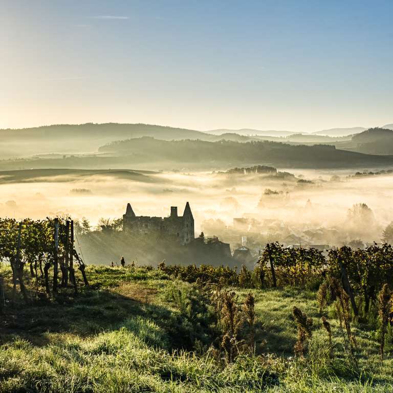 Burkheimer Schloß im Sonnenaufgang