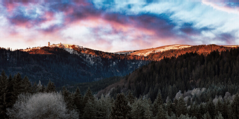 Morgenstimmung am Feldberg im Schwarzwald