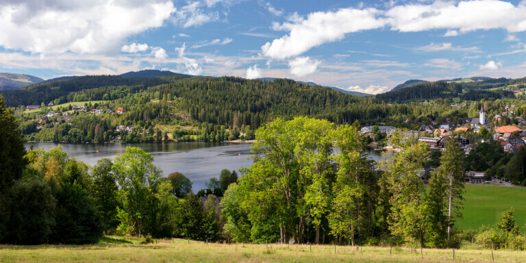 Blick auf den Titisee