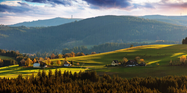 Breitnau im Abendlicht mit Feldberg im Hintergrund