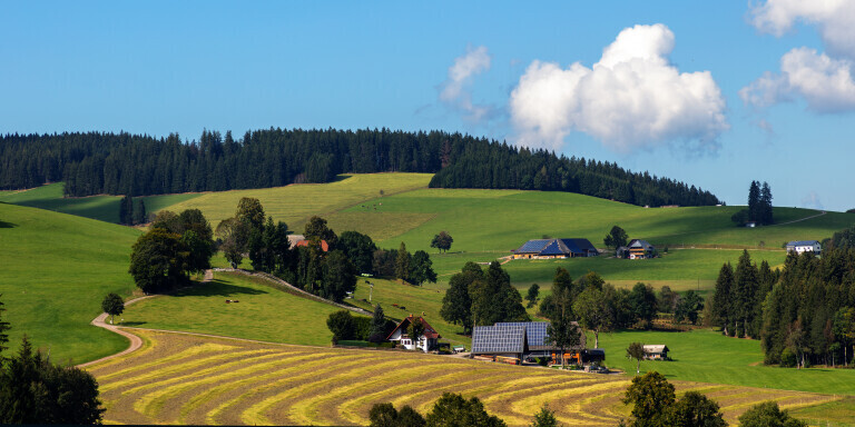 Landschaft bei Breitnau im Schwarzwald