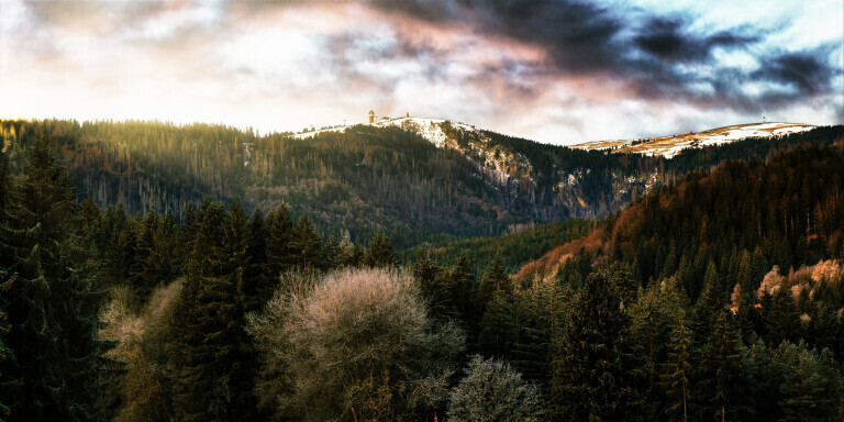 Morgenstimmung am Feldberg im Schwarzwald