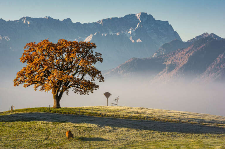 Aidling mit Zugspitze