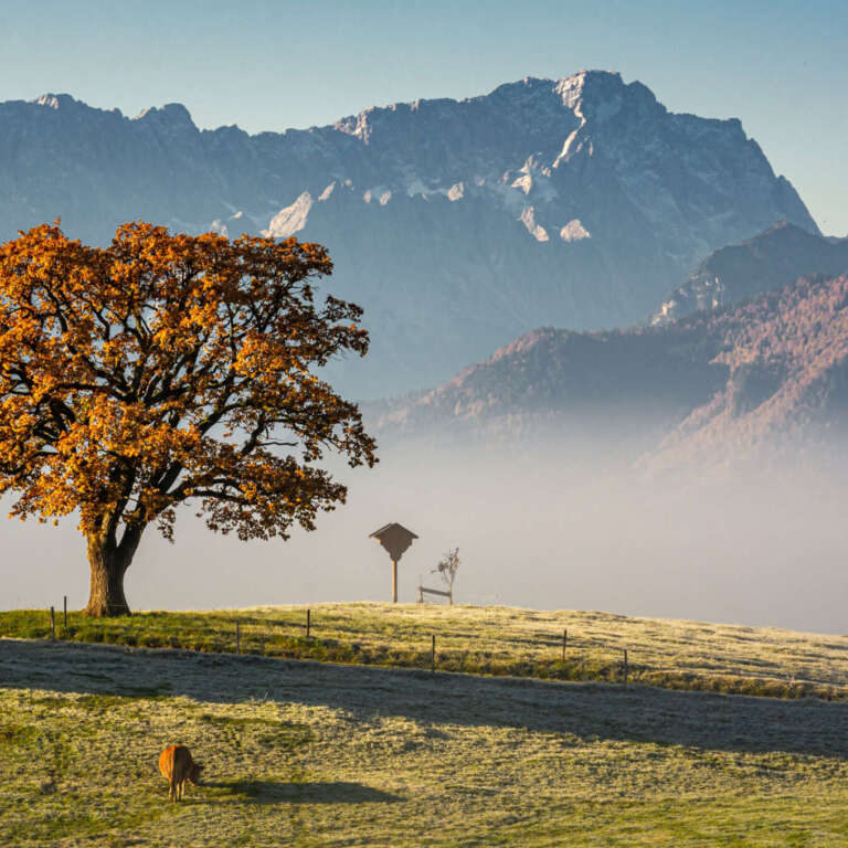 Aidling mit Zugspitze