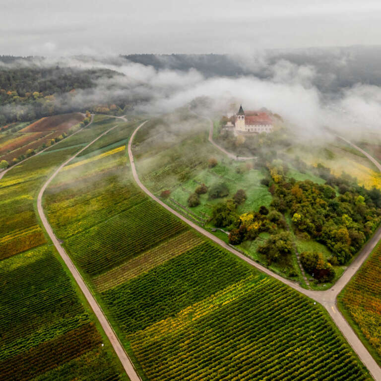 Michaelsberg – nebliger Herbstmorgen