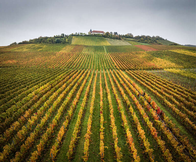 Michaelsberg herbstlich