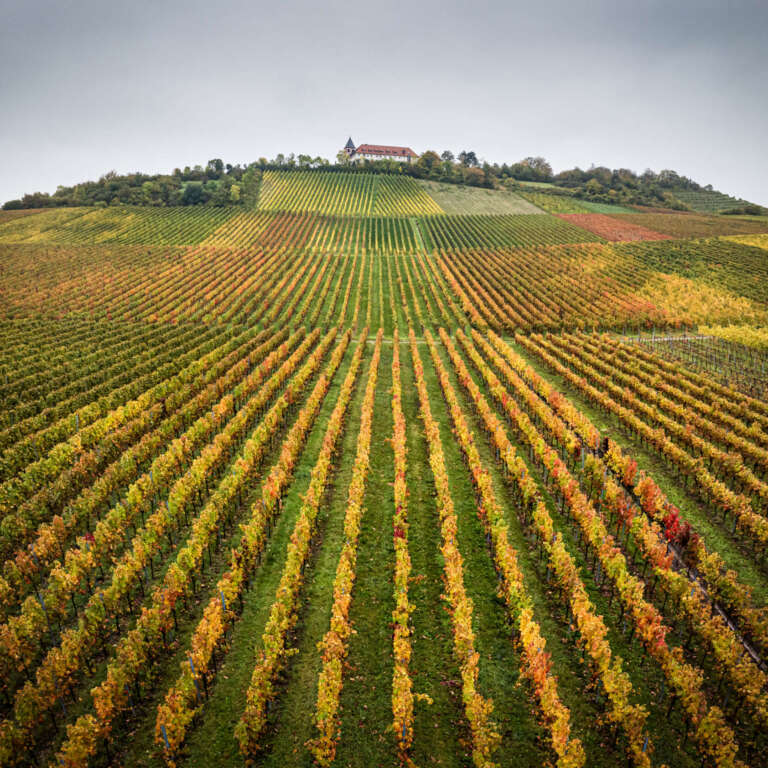 Michaelsberg herbstlich