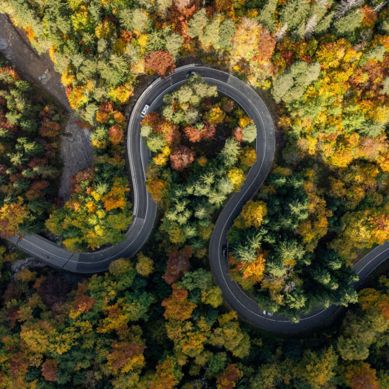 Autumn Omega