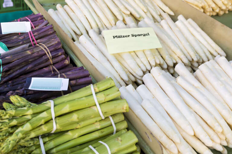 Verschieden Sorten Pfälzer Spargel