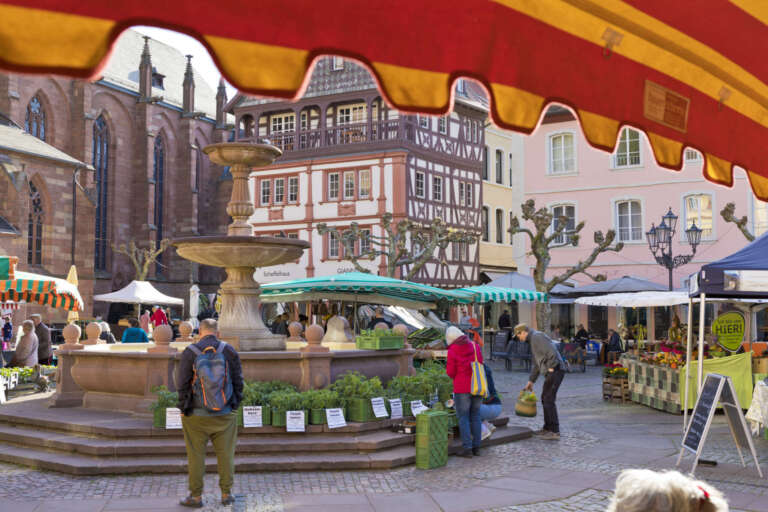 Marktstände um den Königsbrunnen in Neustadt an der Weinstraße