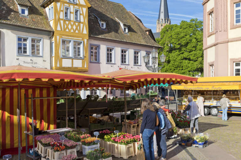 Marktstände in der historischen Altstadt von Neustadt an der Weinstraße