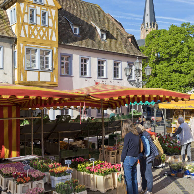 Marktstände in der historischen Altstadt von Neustadt an der Weinstraße