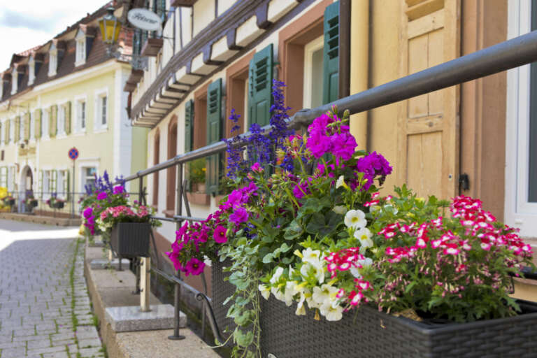 Blumenschmuck in der Tanzstraße von St. Martin