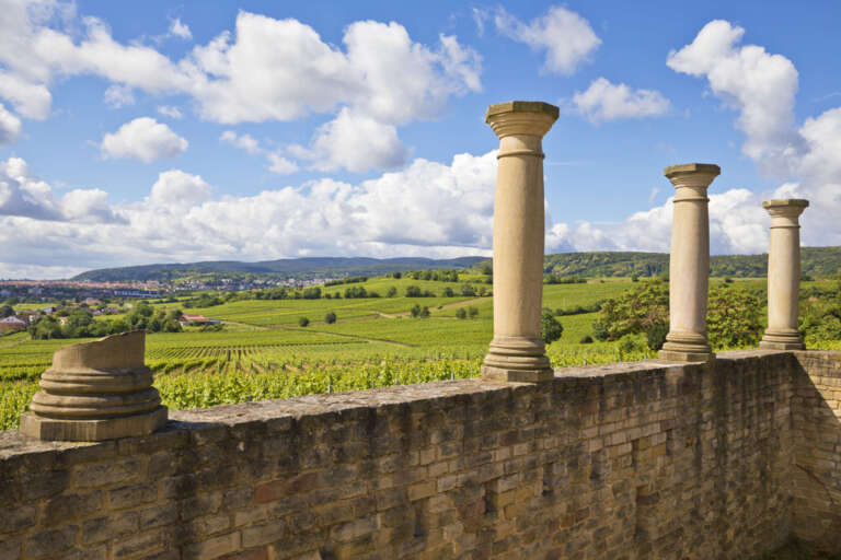 Blick aus dem römischen Weingut Weilberg auf die Weinberge und den Pfälzerwald bei Bad Dürkheim