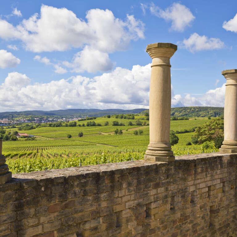 Blick aus dem römischen Weingut Weilberg auf die Weinberge und den Pfälzerwald bei Bad Dürkheim
