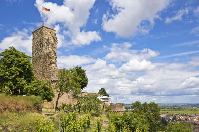 Die Wachtenburg in den Weinbergen von Wachenheim