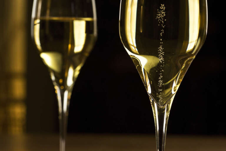 Sekt perlt in einem Sektglas vor dunklem Hintergrund