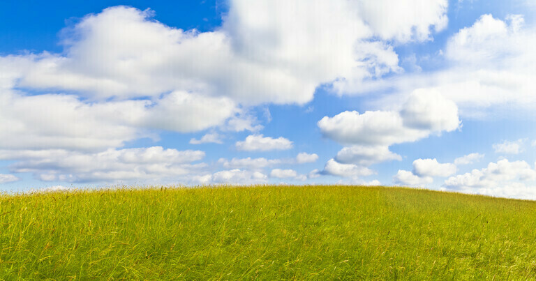 Panorama einer grünen Wiese mit blauen Himmel und weißen Wolken